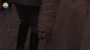 Ahmet Mumtaz Taylan Murat GIF by Show TV
