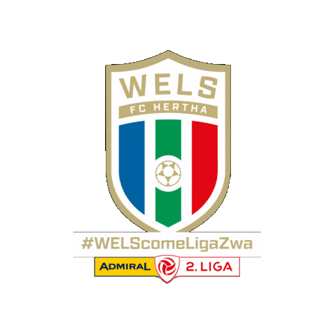 Meister Ligazwa Sticker by FC Hertha Wels