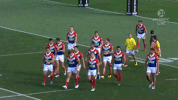 rugby league rlwc GIF by NRL