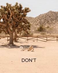 Dont Worry My Dude GIF by Dani Chase