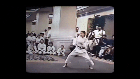 Karate Judo GIF by Anne-Marie