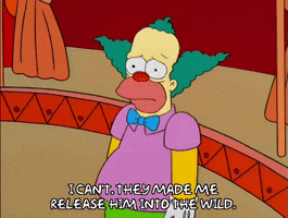 the simpsons GIF