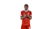 Well Done Applause Sticker by FC Bayern Munich