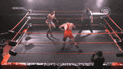 Fight Wrestling GIF by CNL Chile