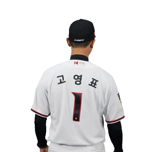 ktwizbaseballclub giphyupload baseball kt kbo Sticker