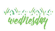 Wheat Grass Juice Sticker by Intelligent Gourmet