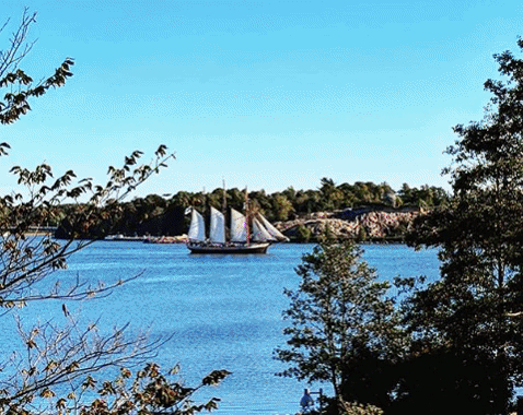 travel GIF