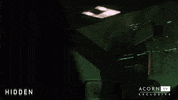 sian reese-williams mystery GIF by Acorn TV