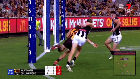 2018 season football GIF by AFL