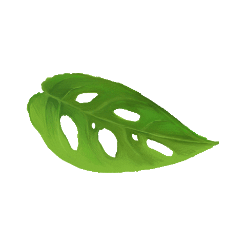 Hooked_on_houseplants plants monstera houseplants house plant Sticker