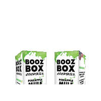 boozbox fun party summer beer Sticker
