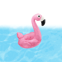 Flamingo Sticker by SPAR Schweiz