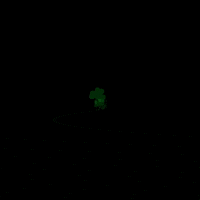 FightingIrish irish notre dame shamrock notre dame football GIF