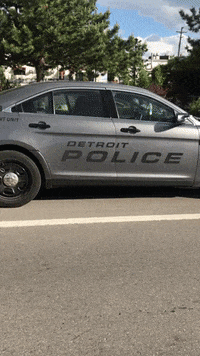 Protest Blm GIF by Chefannawiththepot