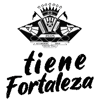 Mexico Usa Sticker by Fortaleza Guitars