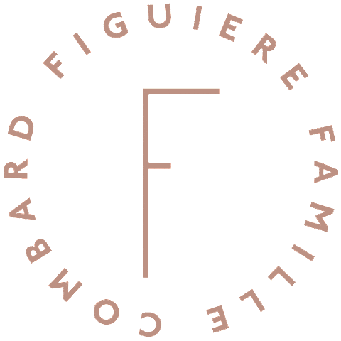 Figuiere giphyupload figuiere Sticker