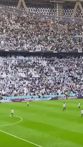 World Cup Goal GIF by Storyful