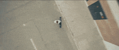 blame it on me bird GIF by George Ezra