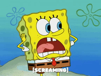 season 6 episode 13 GIF by SpongeBob SquarePants