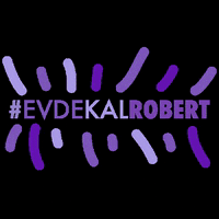 robertcollege1863 robertcollege robertcollege1863 robertkolej evdekalrobert GIF