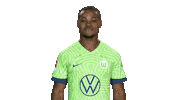 Football No Sticker by VfL Wolfsburg