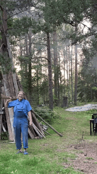 Bg GIF