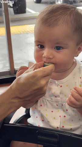 Baby Learns About Limes