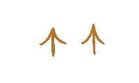 Swipe Up Sticker