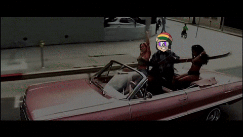 BumbaCat giphyupload westcoast drdre bumbacat GIF