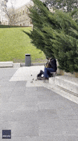 'Universal Language': Busker in Madrid Attracts Audience of Sparrows