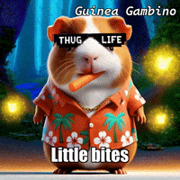 GIF by Guinea Gambino