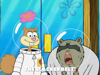 season 8 bubble troubles GIF by SpongeBob SquarePants