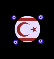 Trnc GIF