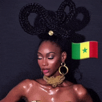 Diarry senegal camilladiagne sénégal misssenegal GIF