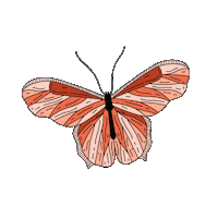 maggielopez44 pink fly butterfly mariposa Sticker