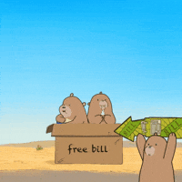 Sol Solana GIF by Bill the Bear