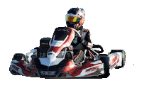 fiesta rally Sticker by KNAF
