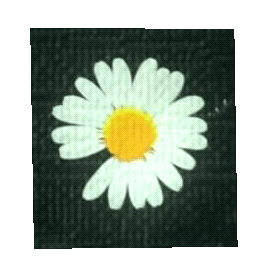 Gd Peaceminusone Sticker
