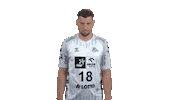 Handball-Bundesliga Handball Sticker by LIQUI MOLY HBL