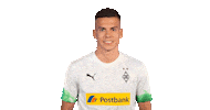Bundesliga Diefohlen Sticker by Borussia Mönchengladbach
