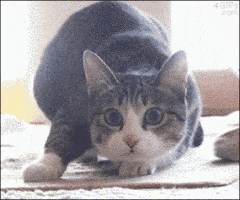 post gif