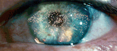 blade runner GIF blade runner GIF