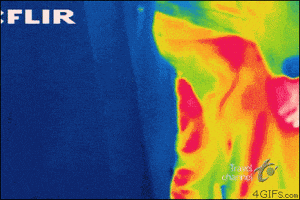 fart GIF fart GIF
