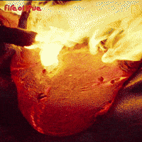 National Geographic Film GIF by Nat Geo Wild National Geographic Film GIF by Nat Geo Wild