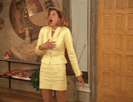 Shocked Cant GIF