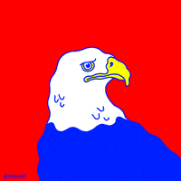 Animation Domination Fox GIF by gifnews