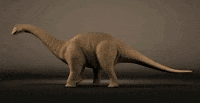 Dinosaur Brontosaurus GIF
