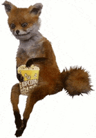 Eating Popcorn GIF