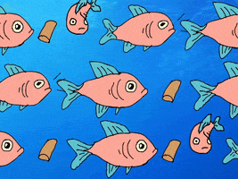 Fish Food Animation GIF by Preston Spurlock