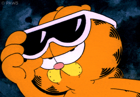 Cat Sun GIF by Garfield Cat Sun GIF by Garfield